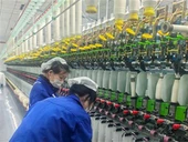 रिंग स्पिंडल बोबिन डुअल कलर फैंसी ट्विस्टिंग मशीन